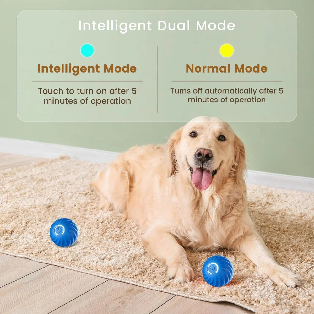 Self Rolling Interactive Dog Toys Ball,Small/Medium/Large Puppy Pet Dog Toys,Motion Activated Toys That Move on its Own